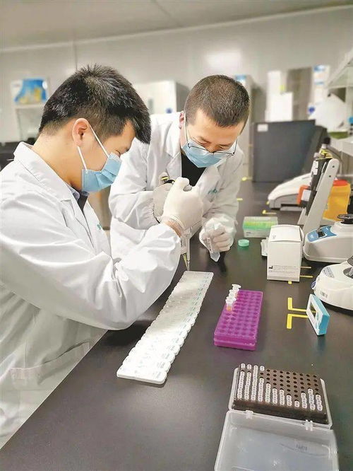 深圳又一家生物科技公司上市 它让中国医疗器械走进日本顶级实验室